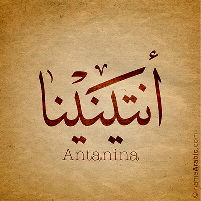 Antanina_400