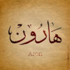 new_name_aron_400